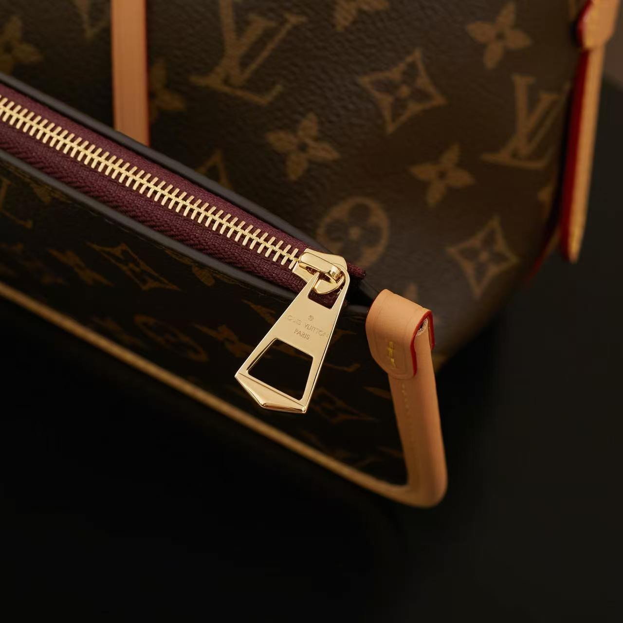 CarryAll PM Monogram Bucket Tote Bag